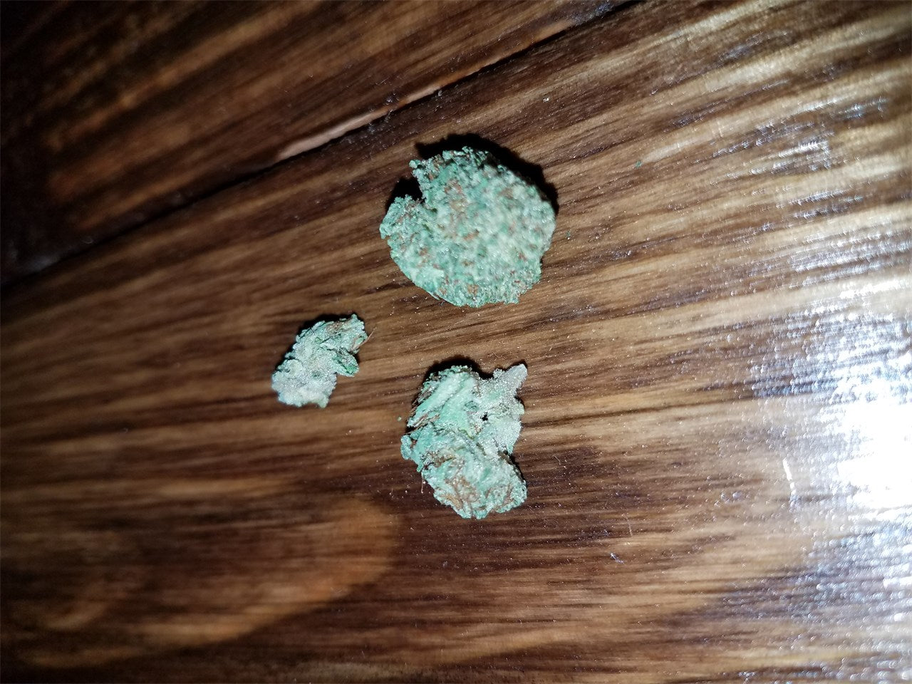 Athabasca marijuana strain flower with blue cheese and blueberry flavor and energetic / talkative effects - Rare Harvest indica