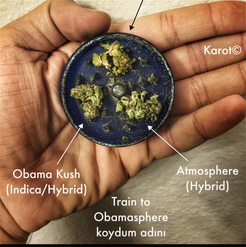 Atmosphere marijuana strain flower with pineapple and woody flavor and uplifted / euphoric effects - Rare Harvest hybrid