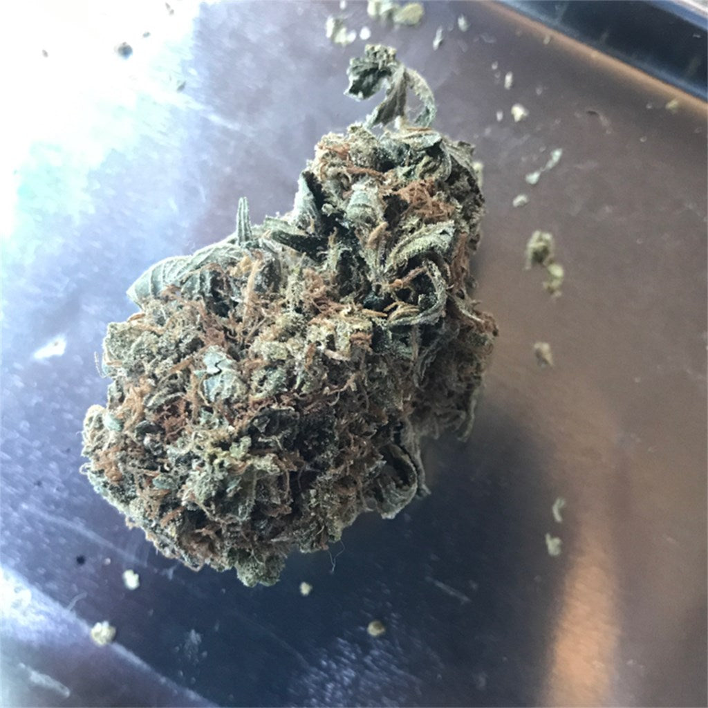 Atomic Northern Lights marijuana strain flower with lime and pine flavor and aroused / tingly effects - Rare Harvest hybrid