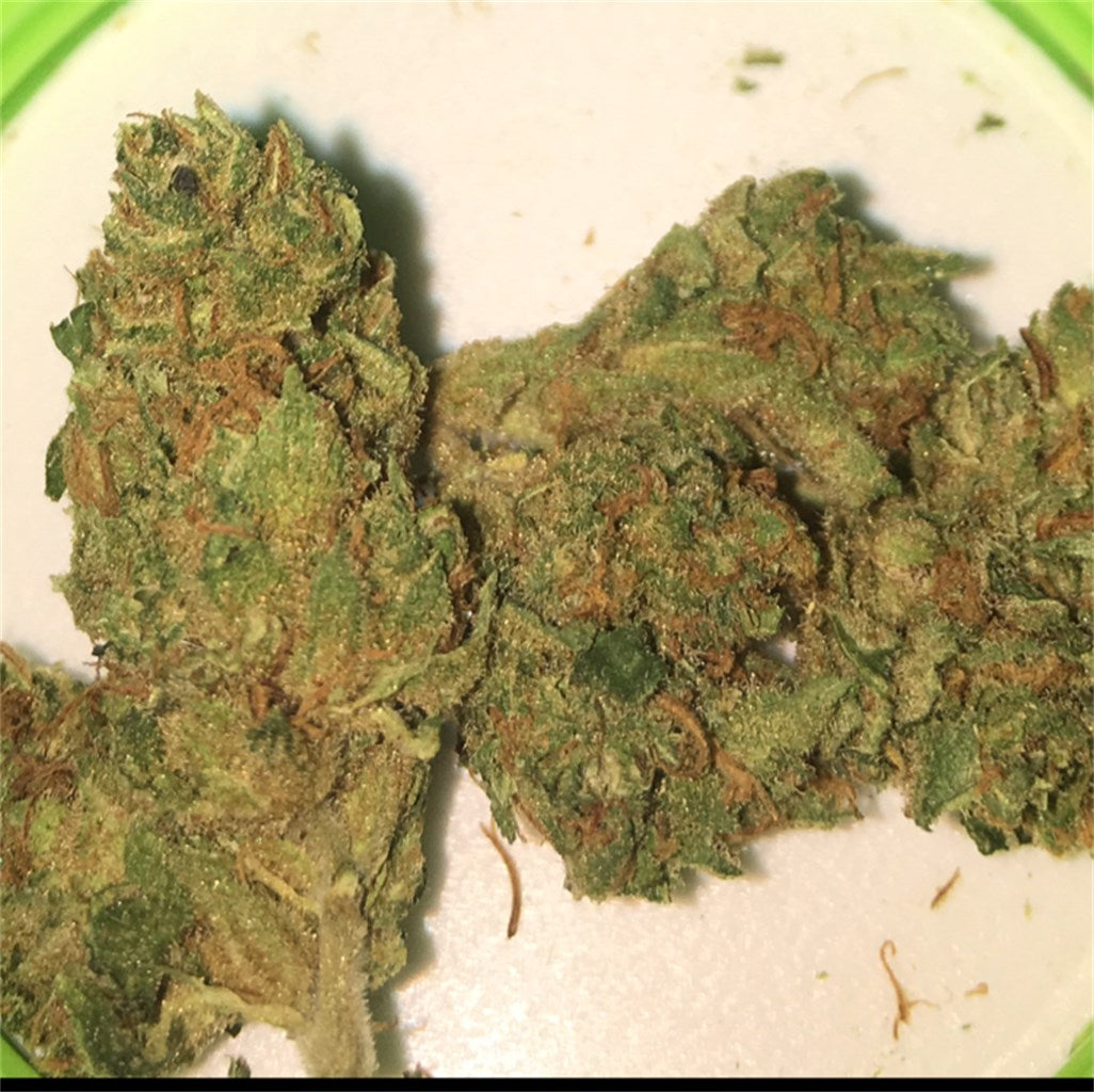 Avi-Dekel marijuana strain flower with chestnut and flowery flavor and focused / uplifted effects - Rare Harvest hybrid