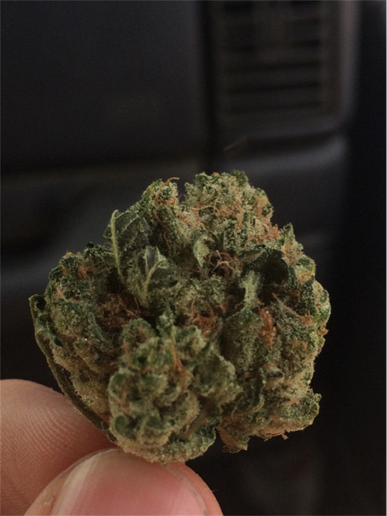 Banana Candy marijuana strain flower with tree fruit and tropical flavor and aroused / giggly effects - Rare Harvest indica