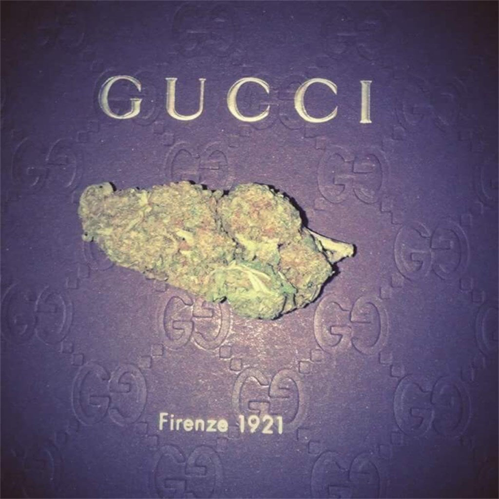 Banana Diesel marijuana strain flower with diesel and chemical flavor and focused / talkative effects - Rare Harvest hybrid