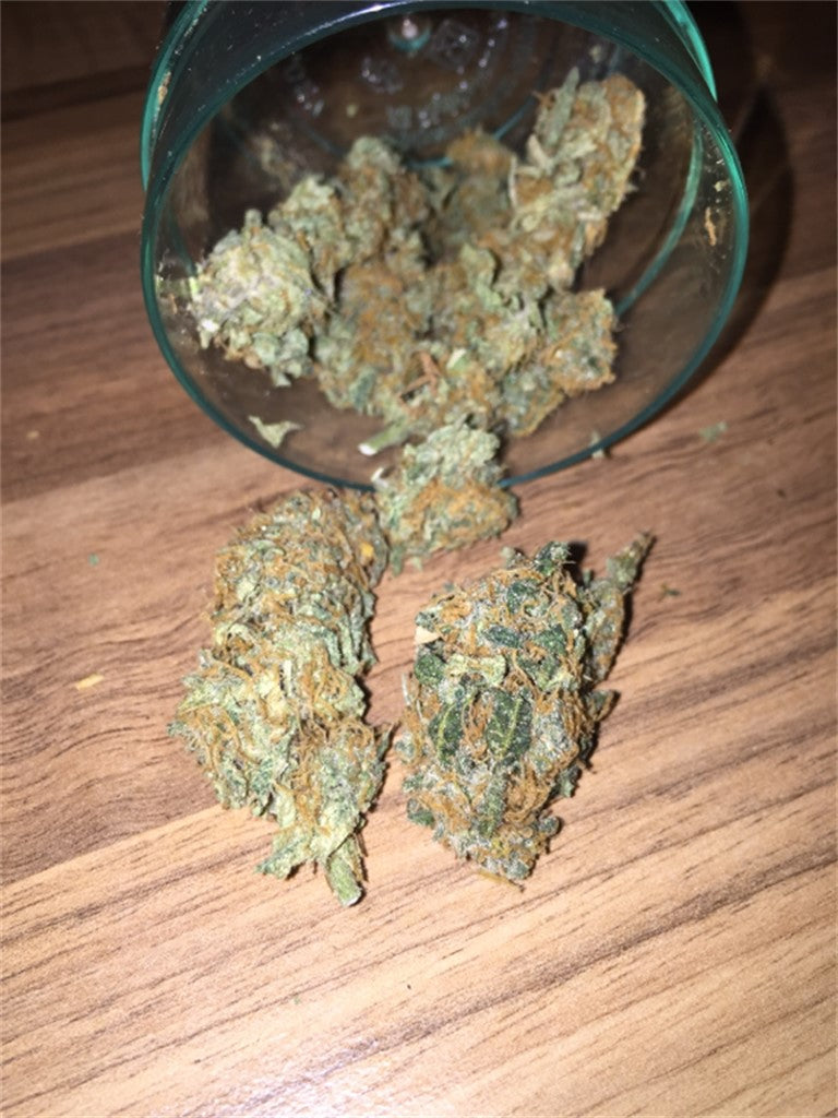 Barbara Bud marijuana strain flower with sweet and pineapple flavor and sleepy / relaxed effects - Rare Harvest indica