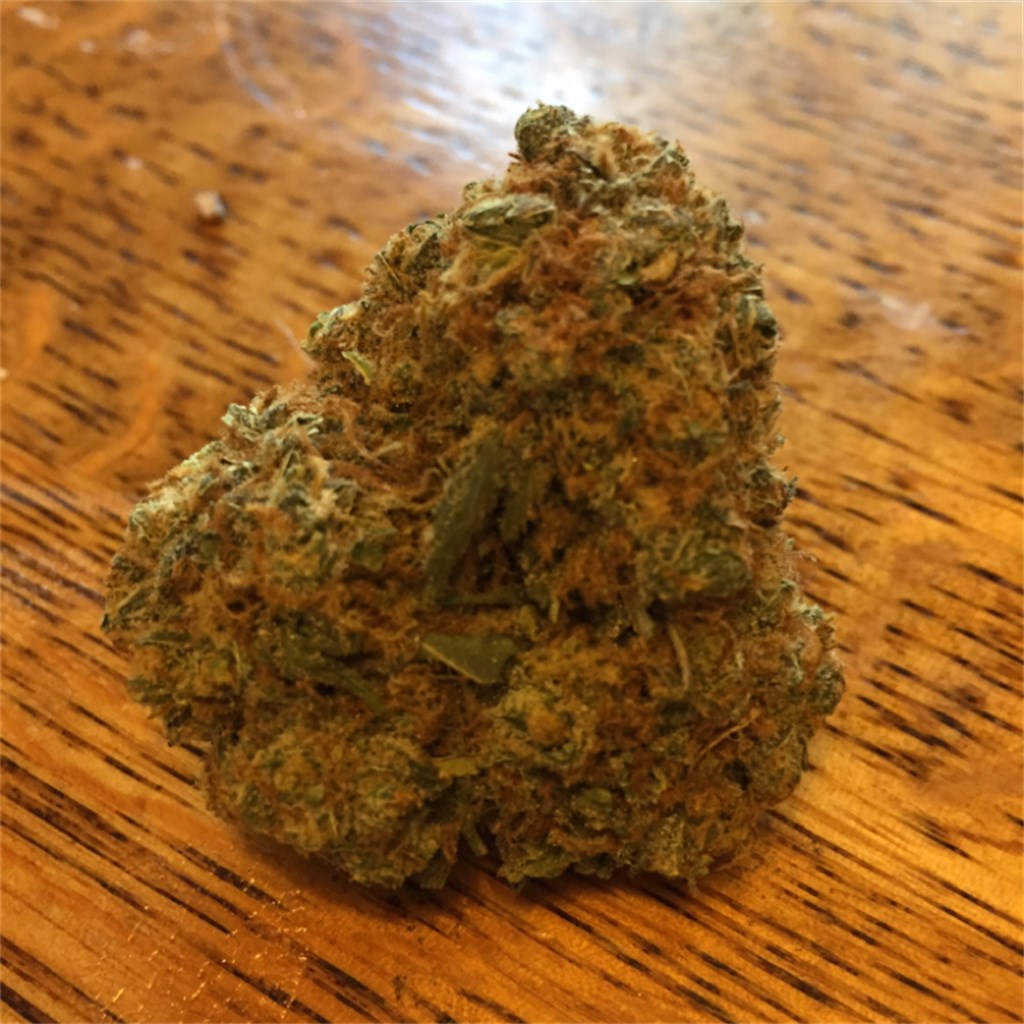 Bay 11 marijuana strain flower with earthy and sweet flavor and energetic / focused effects - Rare Harvest sativa