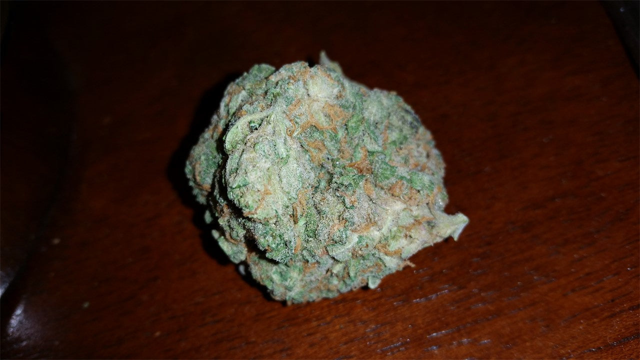 Beast Mode marijuana strain flower with pine and apricot flavor and energetic / uplifted effects - Rare Harvest hybrid