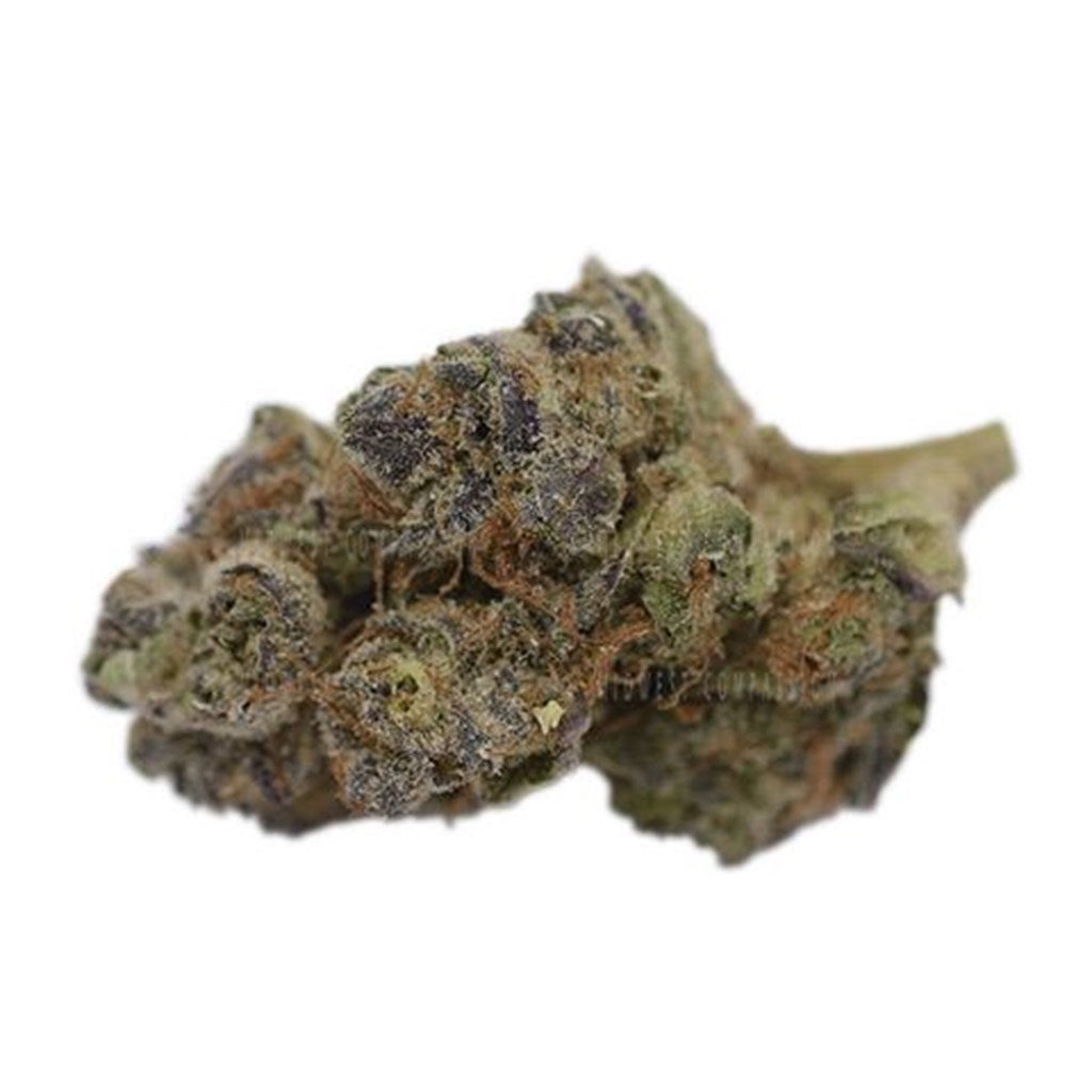 Bedford Glue marijuana strain flower with pepper and pine flavor and energetic / uplifted effects - Rare Harvest hybrid