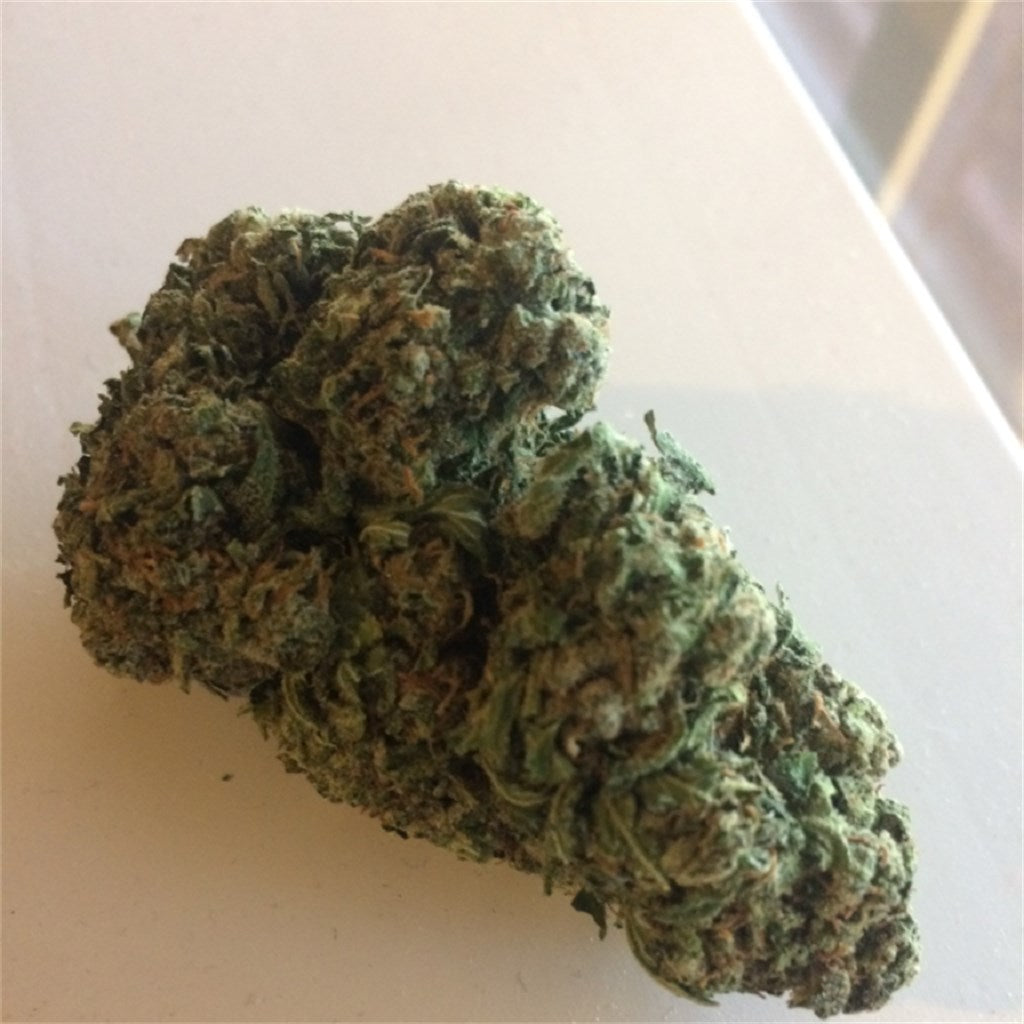 Big Bud marijuana strain flower with woody and earthy flavor and sleepy / hungry effects - Rare Harvest indica
