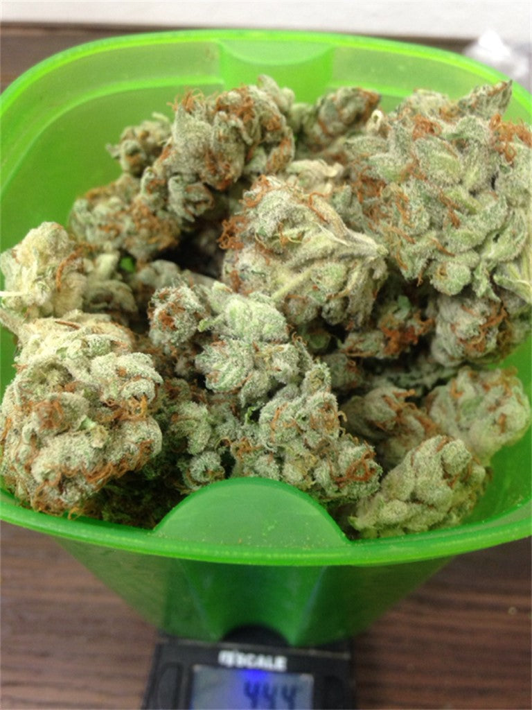 Big White marijuana strain flower with diesel and flowery flavor and relaxed / uplifted effects - Rare Harvest indica