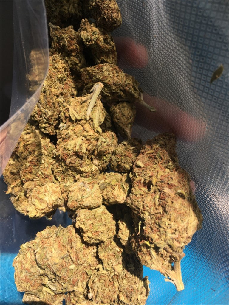 Big Wreck marijuana strain flower with flowery and pungent flavor and euphoric / creative effects - Rare Harvest indica