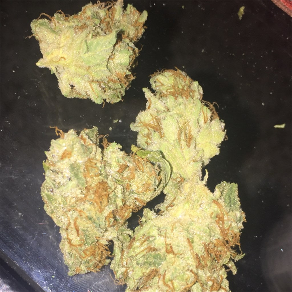 Bio-Jesus marijuana strain flower with chemical and earthy flavor and sleepy / relaxed effects - Rare Harvest hybrid