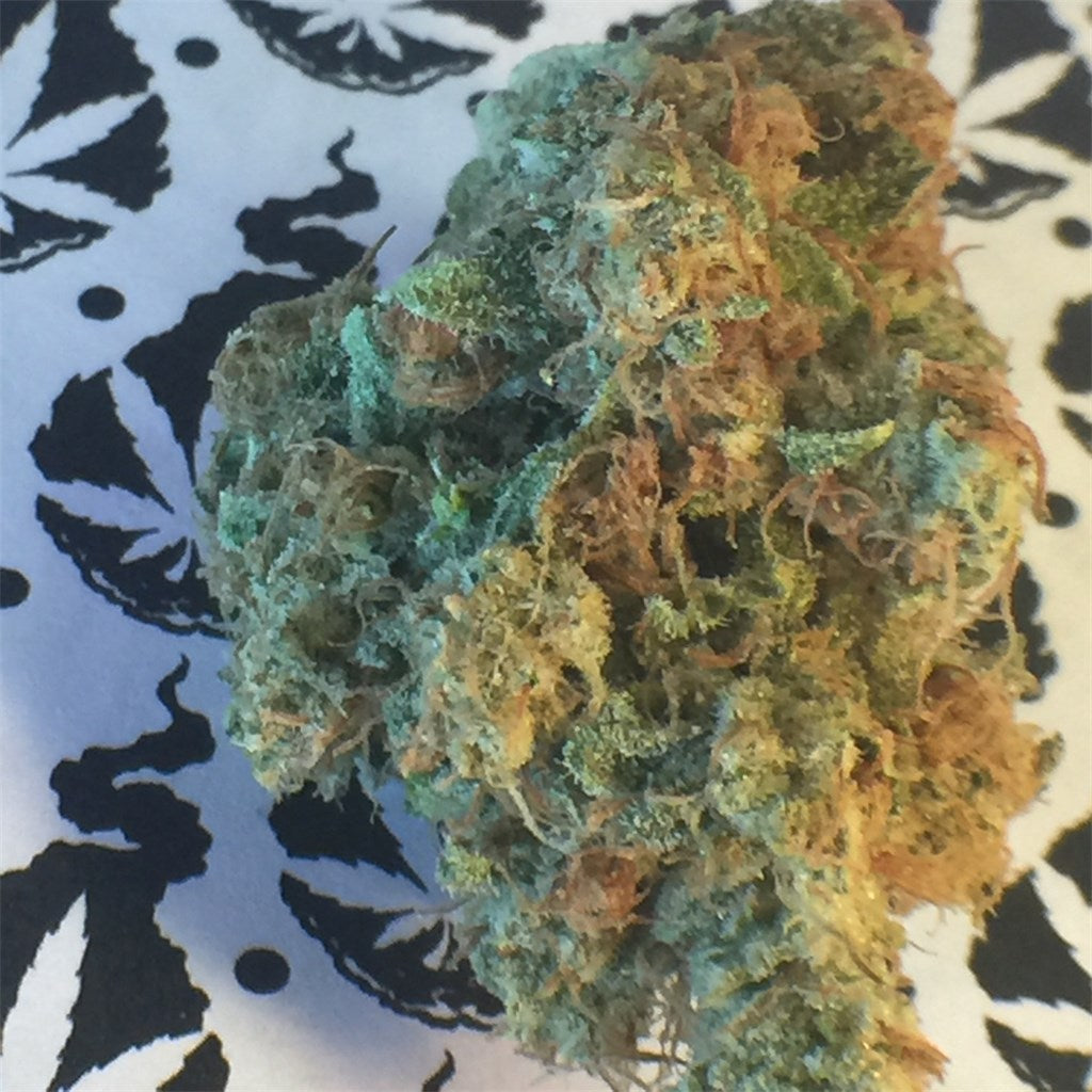 Black Betty marijuana strain flower with nutty and berry flavor and tingly / euphoric effects - Rare Harvest hybrid