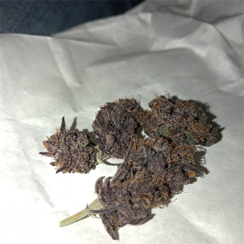 Black Cherry Cheesecake marijuana strain flower with cheese and berry flavor and hungry / relaxed effects - Rare Harvest hybrid