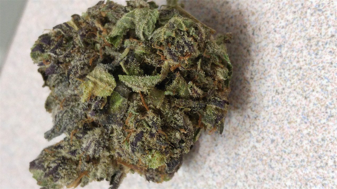 Black Cherry Soda marijuana strain flower with berry and sweet flavor and relaxed / happy effects - Rare Harvest hybrid