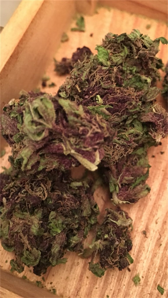 Black Dahlia marijuana strain flower with berry and chemical flavor and sleepy / tingly effects - Rare Harvest hybrid