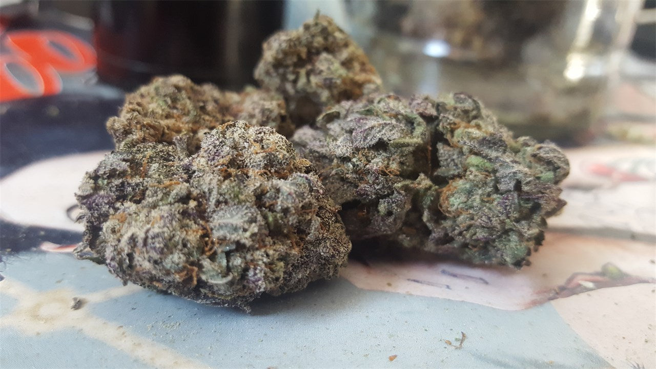 Black Domina marijuana strain flower with pepper and spicy/herbal flavor and sleepy / hungry effects - Rare Harvest indica