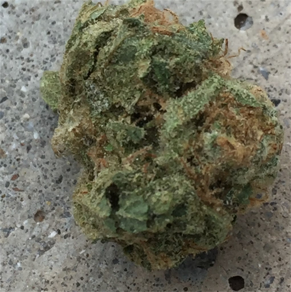 Black Ice marijuana strain flower with menthol and woody flavor and sleepy / relaxed effects - Rare Harvest indica
