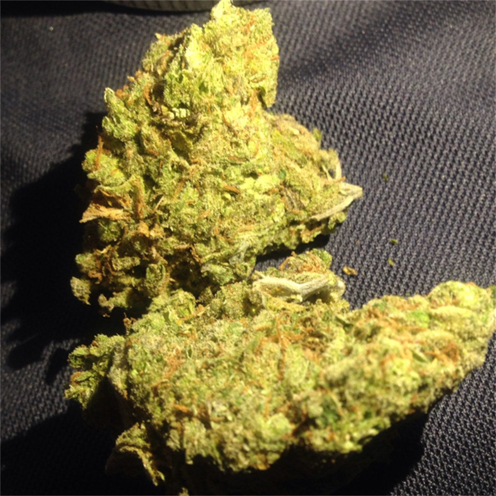 Black Jack marijuana strain flower with pepper and tobacco flavor and relaxed / focused effects - Rare Harvest hybrid
