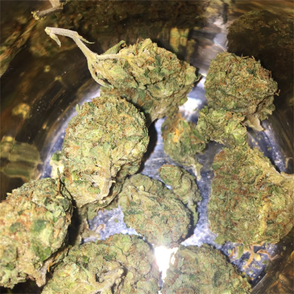 Black Lime marijuana strain flower with lime and pepper flavor and relaxed / euphoric effects - Rare Harvest indica