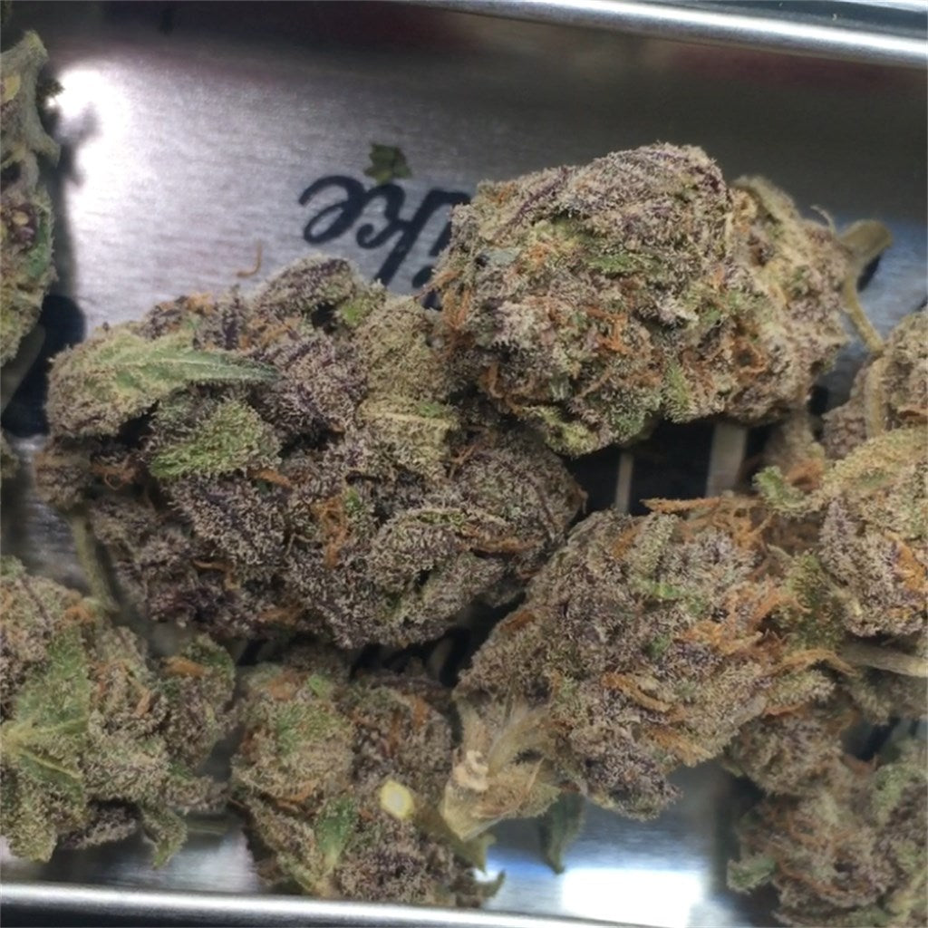 Black Mamba marijuana strain flower with plum and grape flavor and sleepy / relaxed effects - Rare Harvest indica