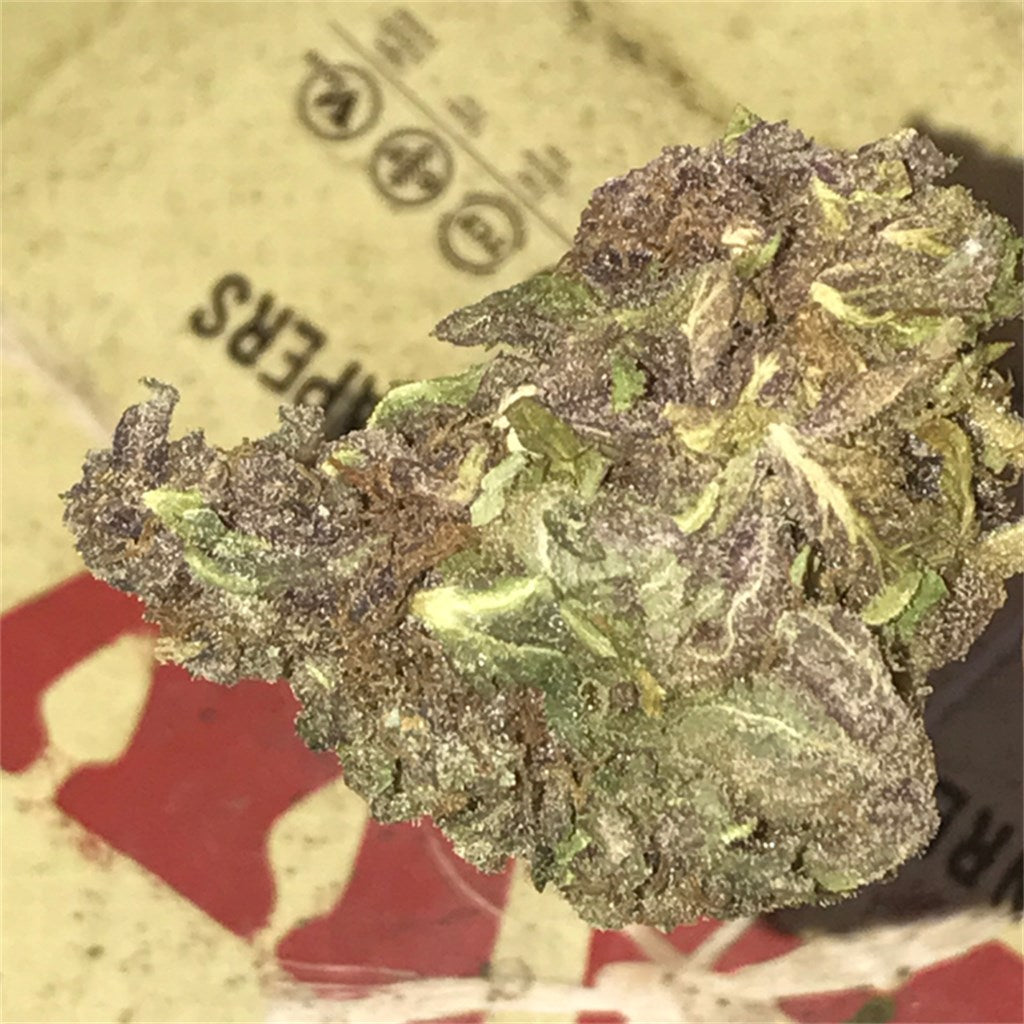 Blackberry Diesel marijuana strain flower with diesel and plum flavor and energetic / happy effects - Rare Harvest sativa