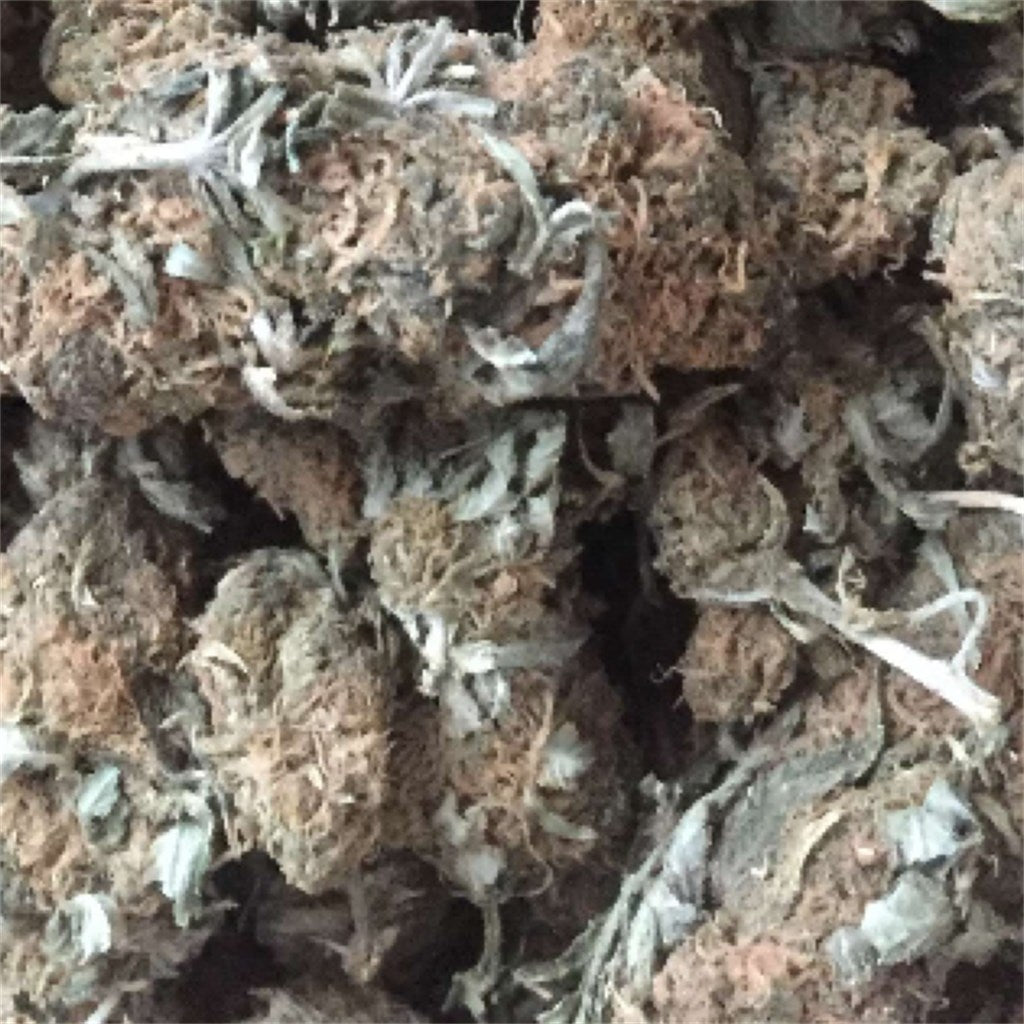 Blackberry Fire marijuana strain flower with diesel and berry flavor and tingly / hungry effects - Rare Harvest hybrid