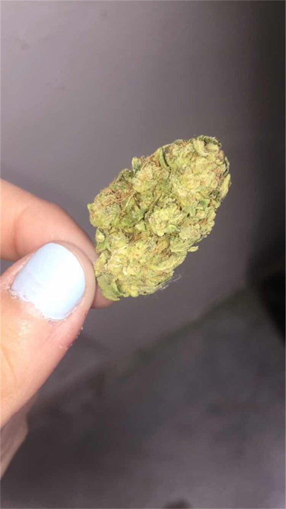 Blackberry Hashplant marijuana strain flower with blueberry and diesel flavor and energetic / euphoric effects - Rare Harvest indica
