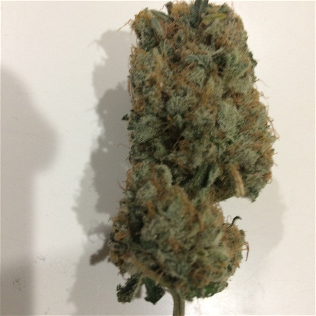 Blackberry Haze marijuana strain flower with berry and pineapple flavor and energetic / happy effects - Rare Harvest sativa