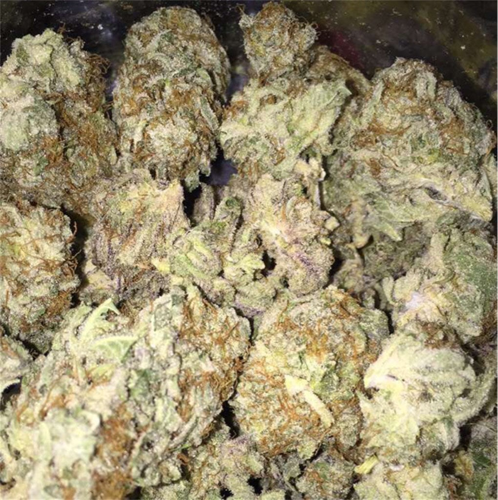 Blackberry Kush marijuana strain flower with berry and sweet flavor and sleepy / relaxed effects - Rare Harvest indica