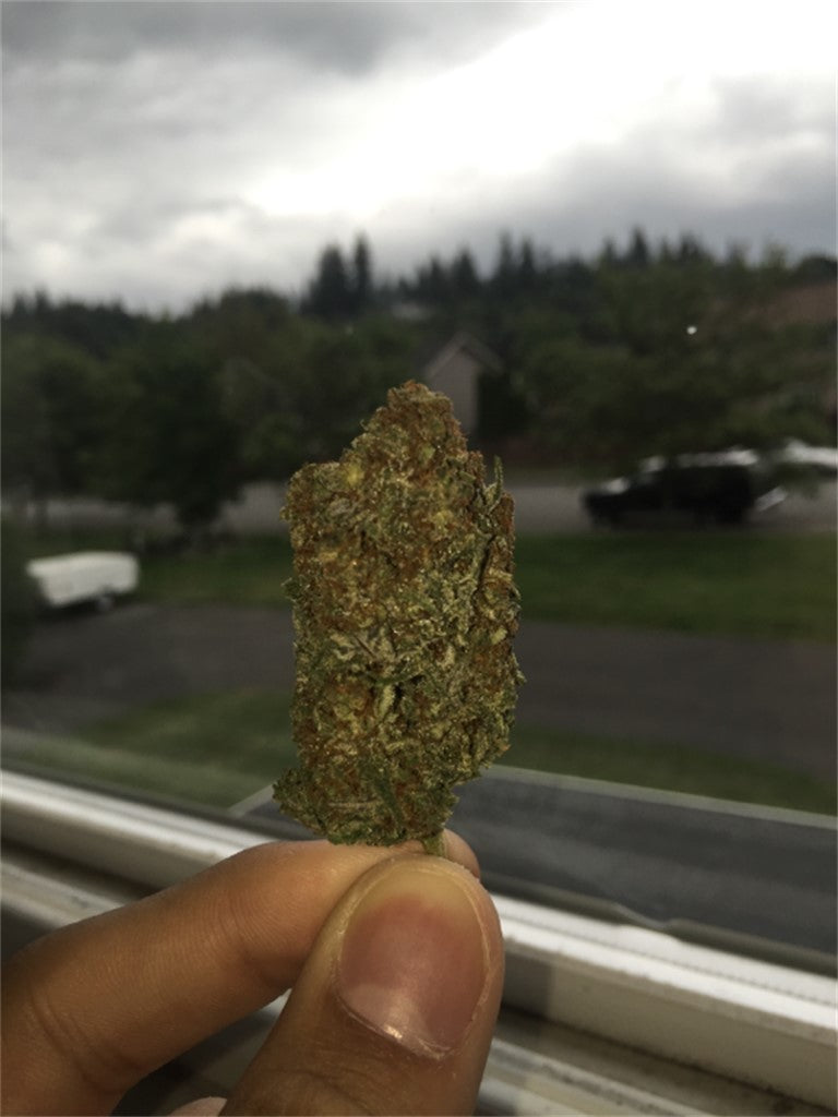 Blackberry Pie marijuana strain flower with blueberry and berry flavor and creative / hungry effects - Rare Harvest hybrid