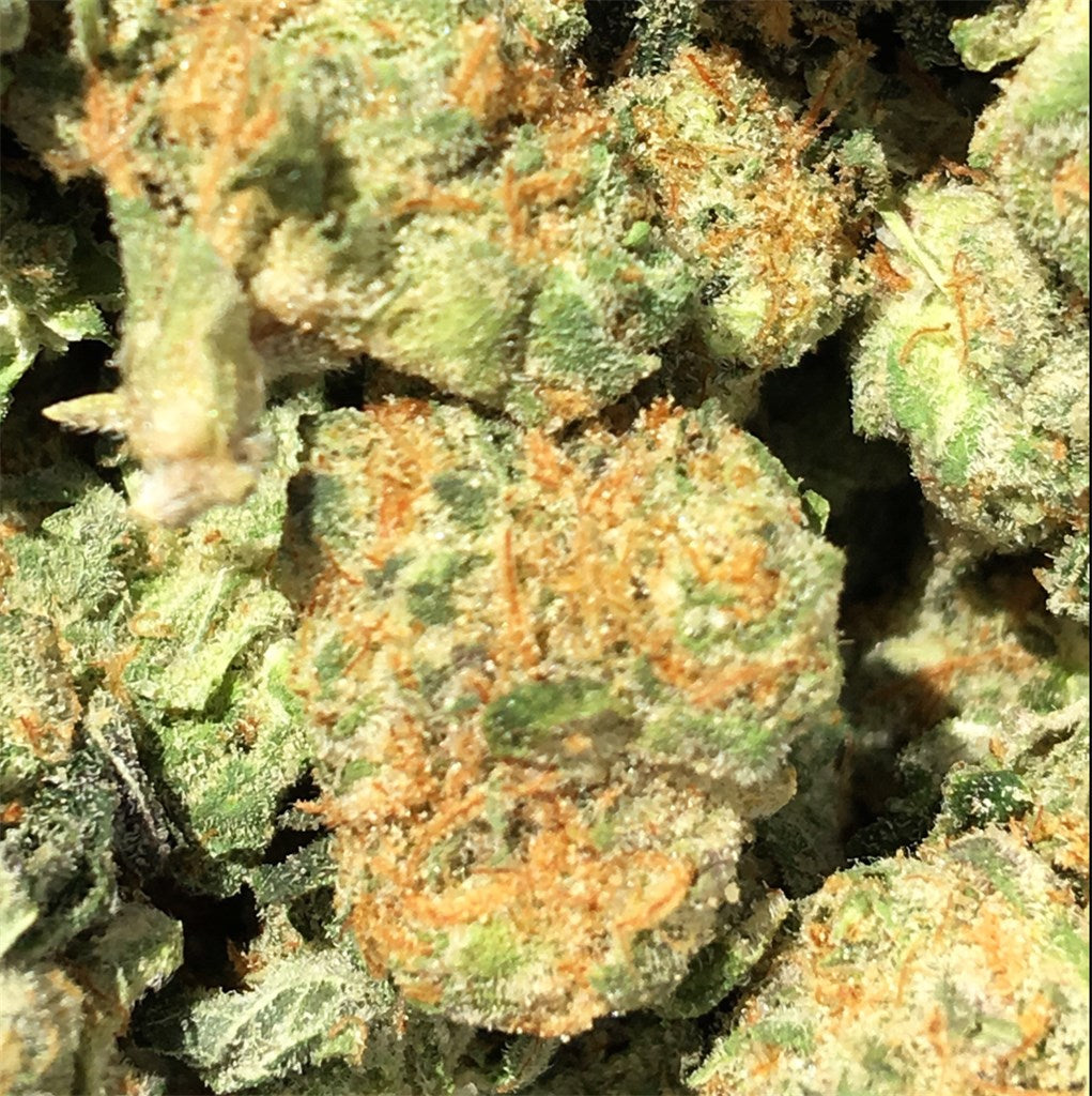 Blackberry Rhino marijuana strain flower with berry and blueberry flavor and relaxed / giggly effects - Rare Harvest indica