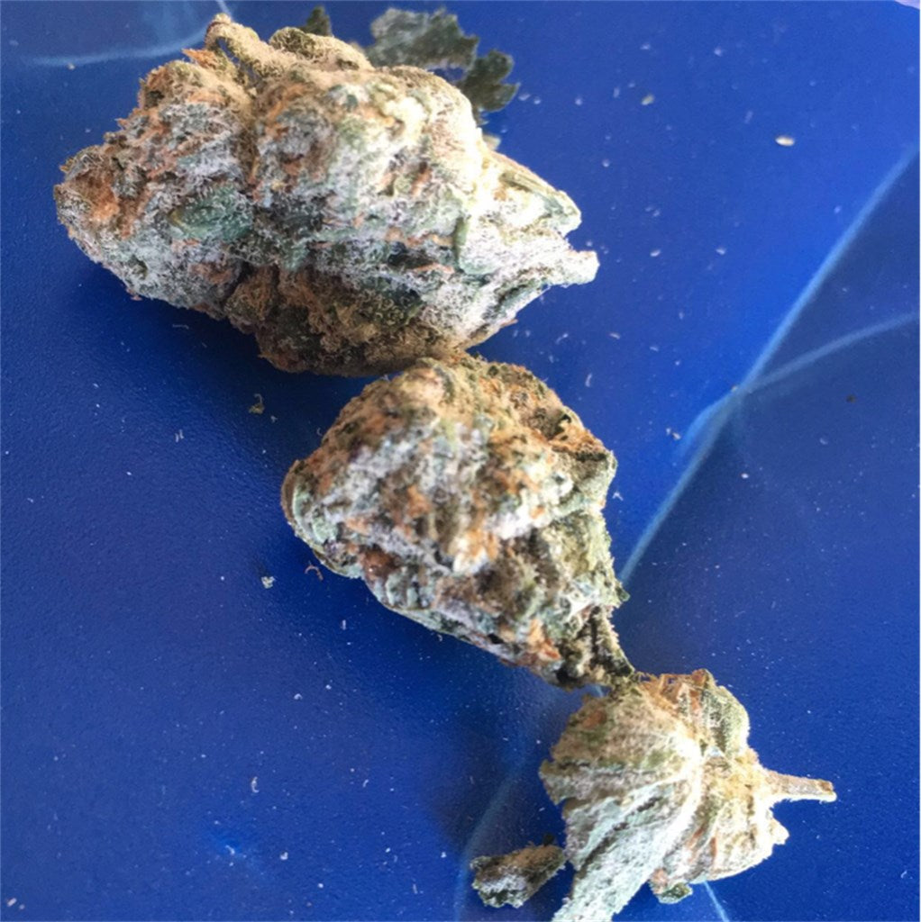 Blackberry x Blueberry marijuana strain flower with berry and blueberry flavor and relaxed / sleepy effects - Rare Harvest indica