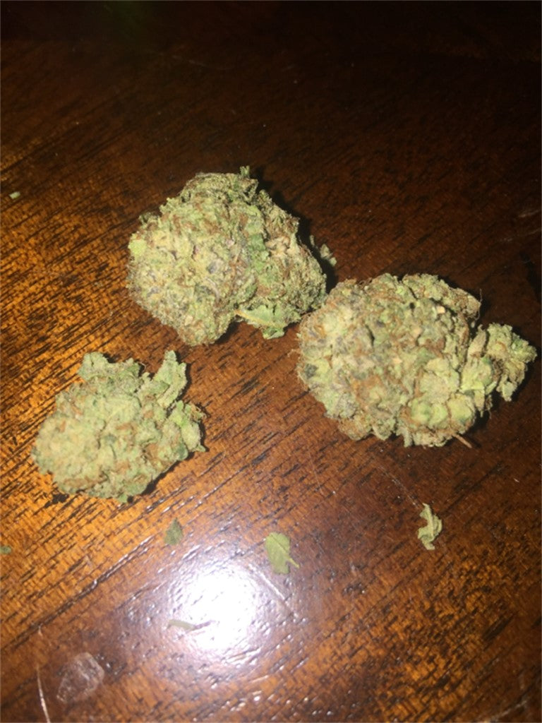 Blaze marijuana strain flower with blueberry and berry flavor and energetic / talkative effects - Rare Harvest sativa