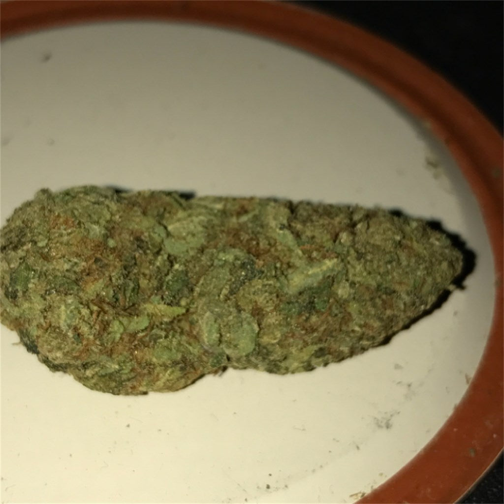 Blob OG marijuana strain flower with diesel and pine flavor and energetic / talkative effects - Rare Harvest hybrid