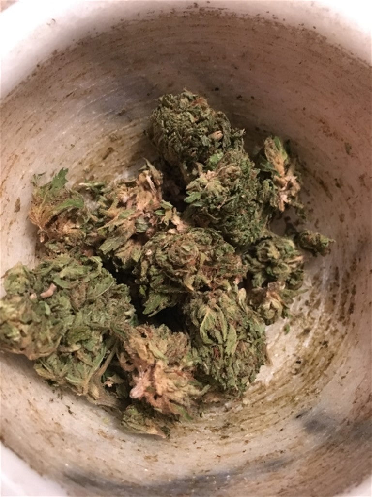 Blowfish marijuana strain flower with sage and pepper flavor and relaxed / aroused effects - Rare Harvest hybrid