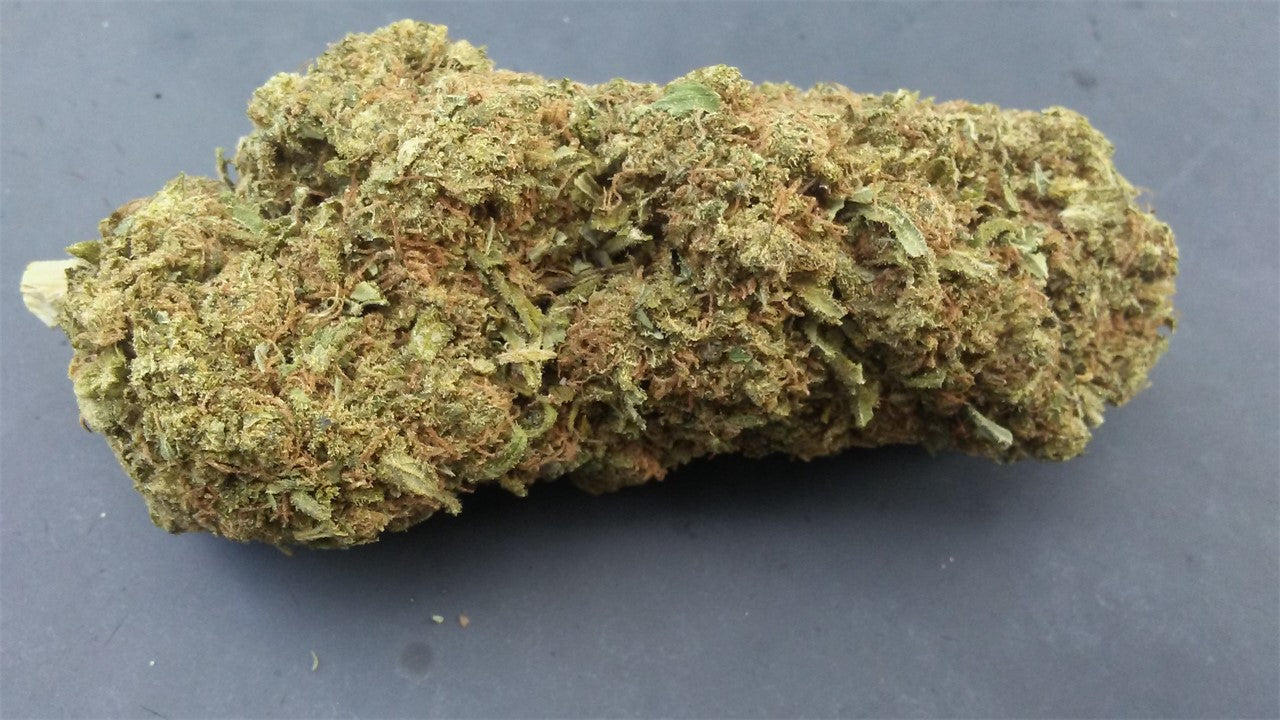 Blue Bastard marijuana strain flower with berry and vanilla flavor and euphoric / sleepy effects - Rare Harvest indica
