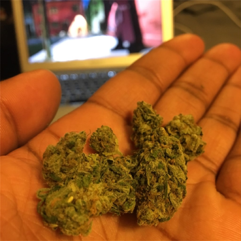 Blue Boy marijuana strain flower with blueberry and earthy flavor and creative / focused effects - Rare Harvest hybrid