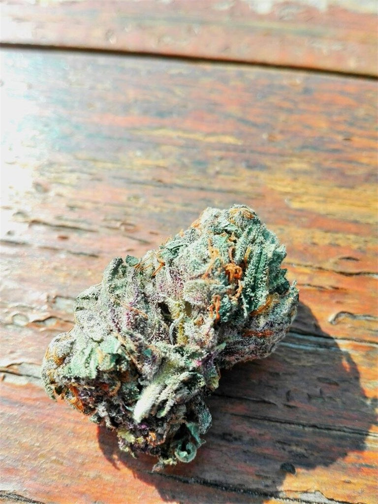 Blue Diesel marijuana strain flower with diesel and berry flavor and relaxed / uplifted effects - Rare Harvest hybrid