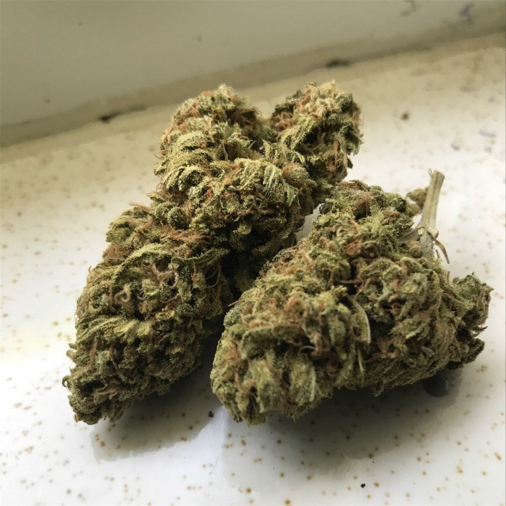 Blue Dragon marijuana strain flower with berry and blueberry flavor and uplifted / euphoric effects - Rare Harvest hybrid