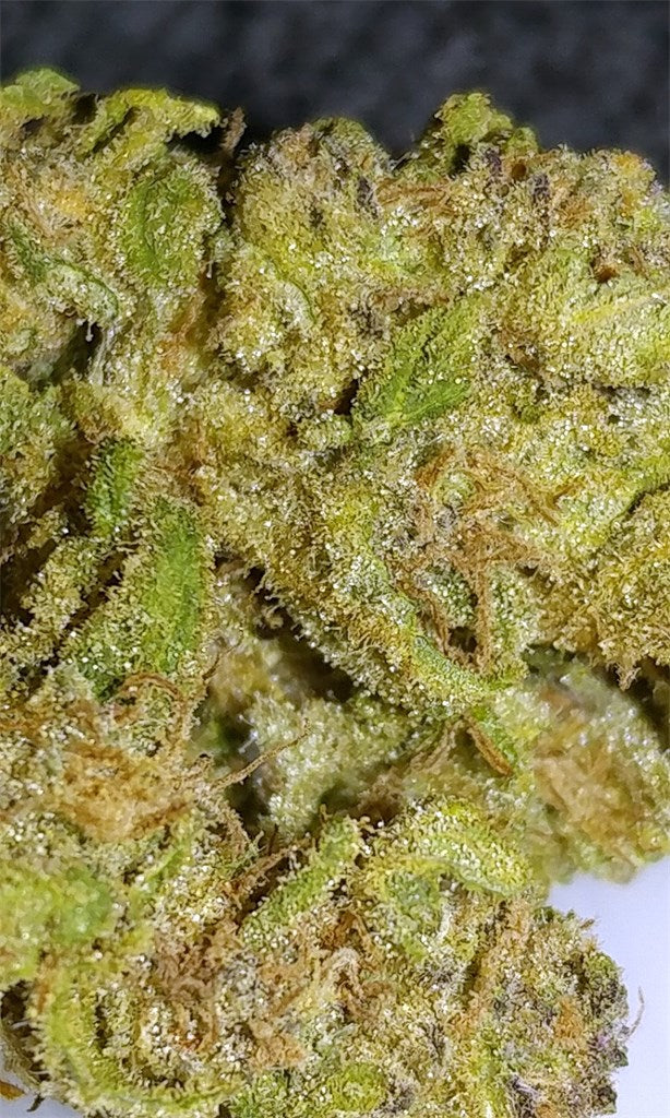 Blue Frost marijuana strain flower with menthol and cheese flavor and tingly / relaxed effects - Rare Harvest hybrid