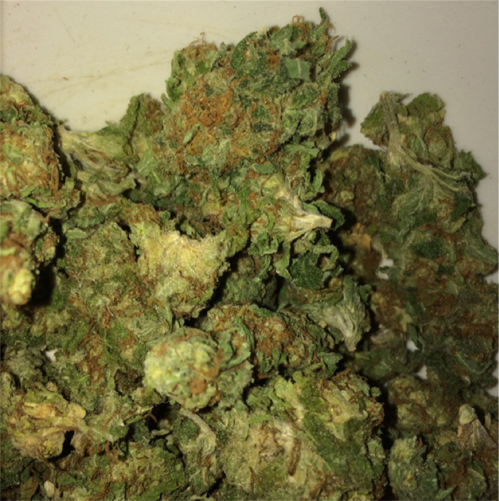Blue Hawaiian marijuana strain flower with tropical and sweet flavor and happy / uplifted effects - Rare Harvest hybrid