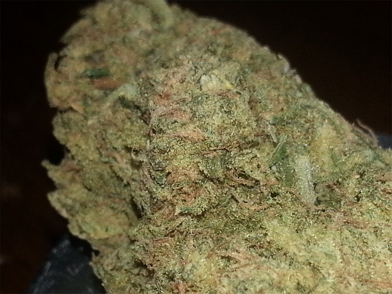 Blue Ivy marijuana strain flower with blueberry and berry flavor and energetic / euphoric effects - Rare Harvest hybrid
