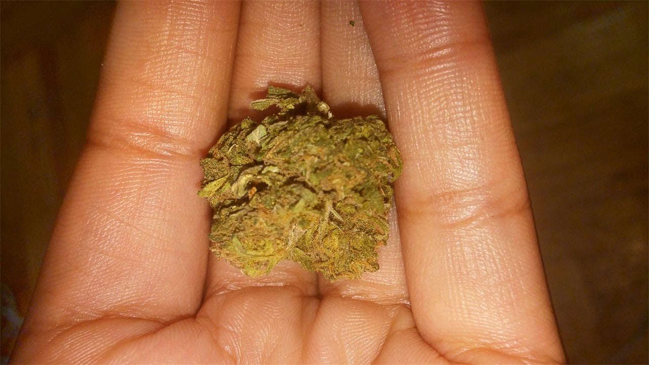 Blue Kiss marijuana strain flower with blueberry and berry flavor and energetic / creative effects - Rare Harvest hybrid