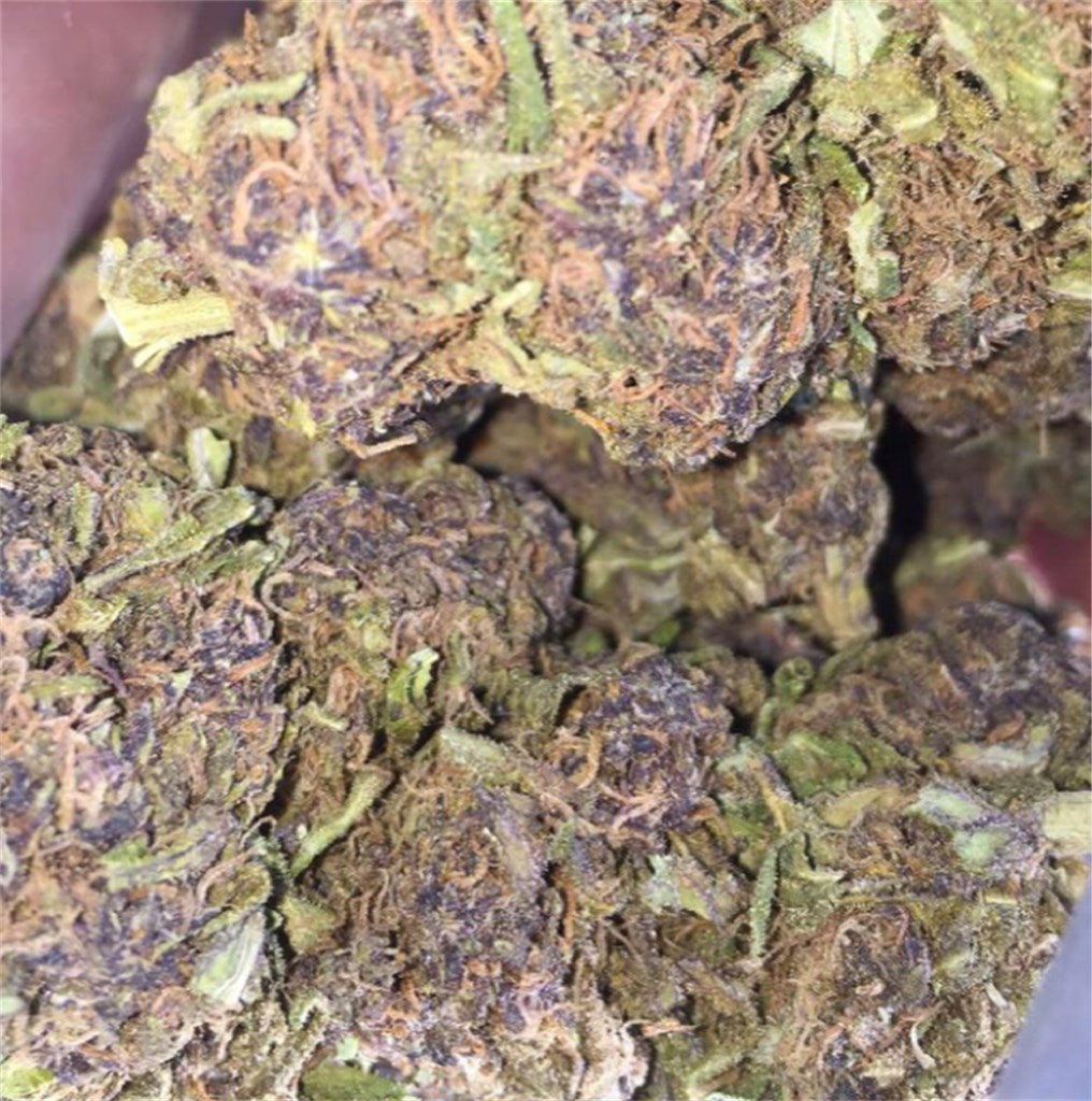 Blue Knight marijuana strain flower with berry and blueberry flavor and relaxed / sleepy effects - Rare Harvest indica