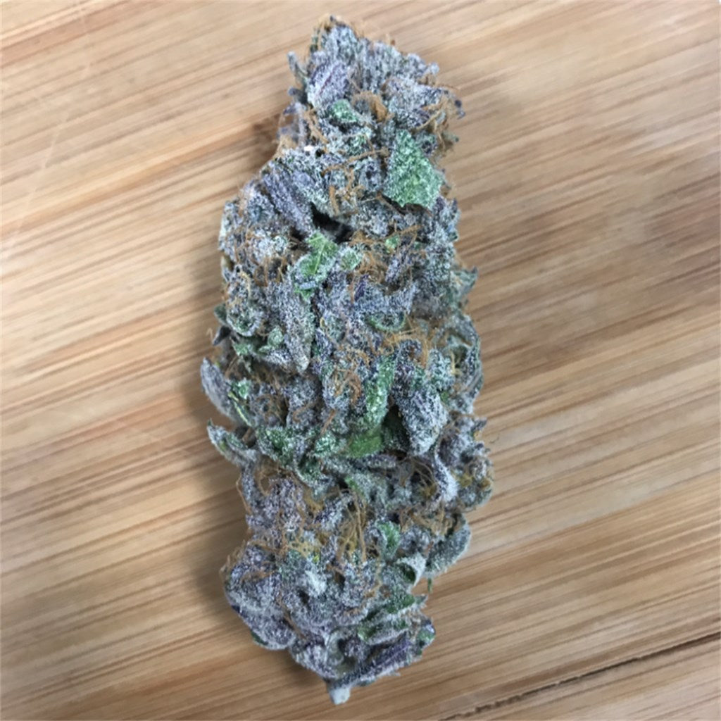 Blue Magoo marijuana strain flower with berry and tree fruit flavor and relaxed / giggly effects - Rare Harvest hybrid