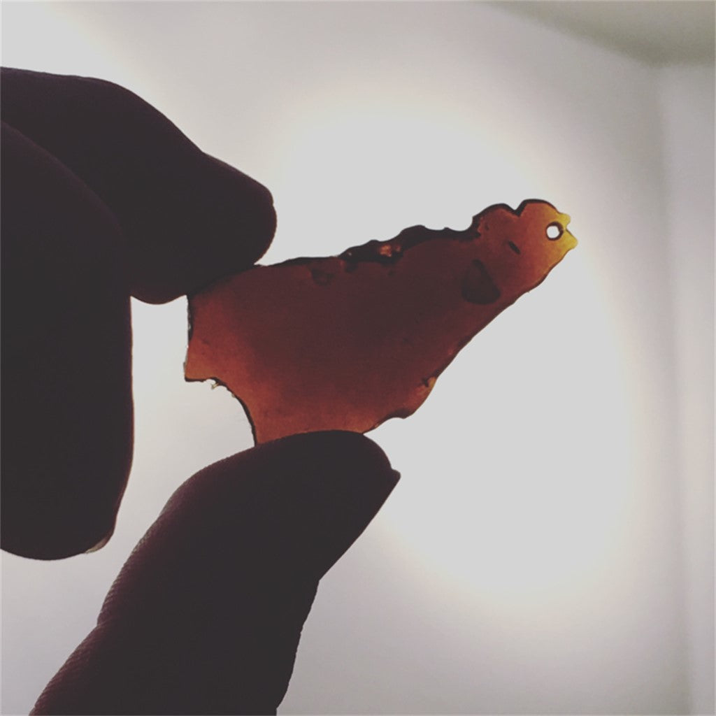 Blue Monster marijuana strain flower with blueberry and berry flavor and hungry / happy effects - Rare Harvest indica
