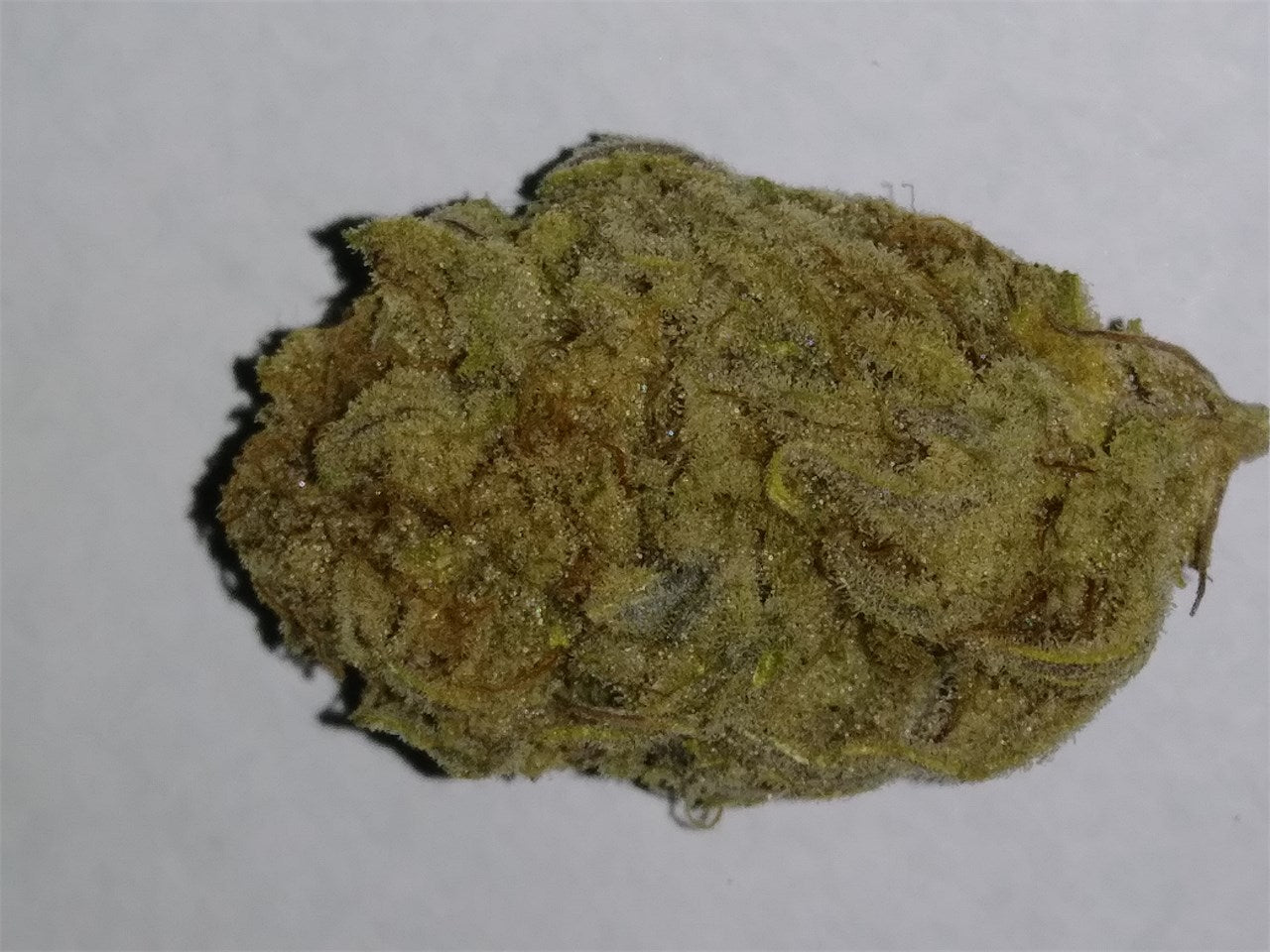 Blue Moonshine marijuana strain flower with plum and blueberry flavor and aroused / sleepy effects - Rare Harvest indica