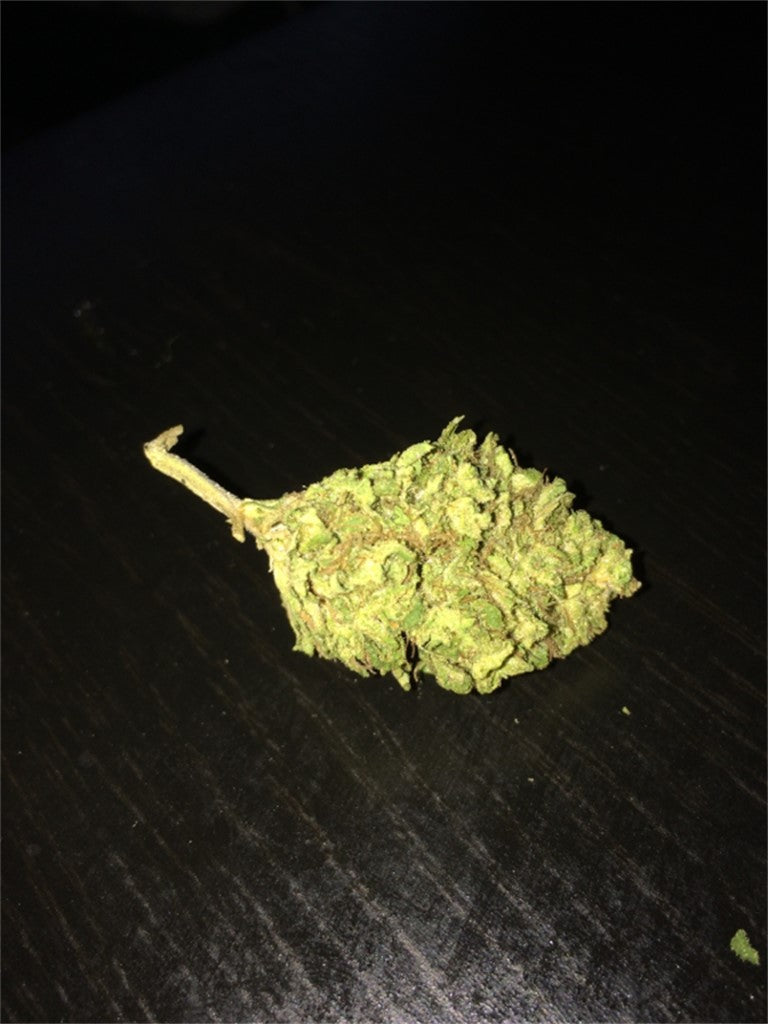 Blue Mountain Fire marijuana strain flower with berry and earthy flavor and creative / energetic effects - Rare Harvest sativa