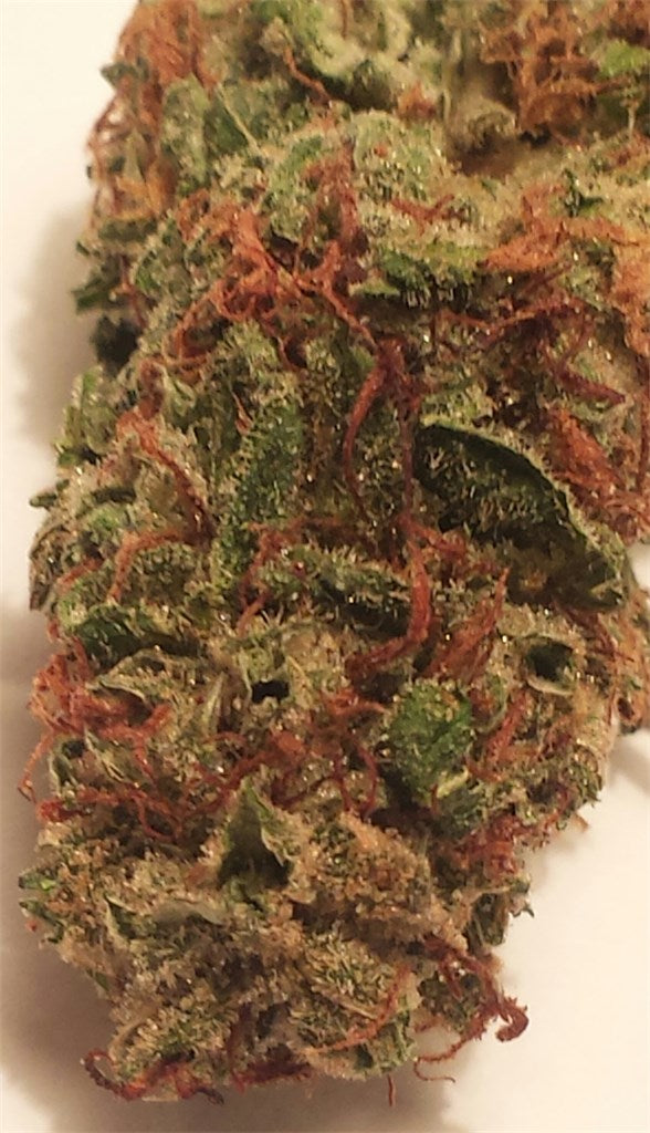 Blue Satellite marijuana strain flower with blueberry and berry flavor and talkative / uplifted effects - Rare Harvest sativa
