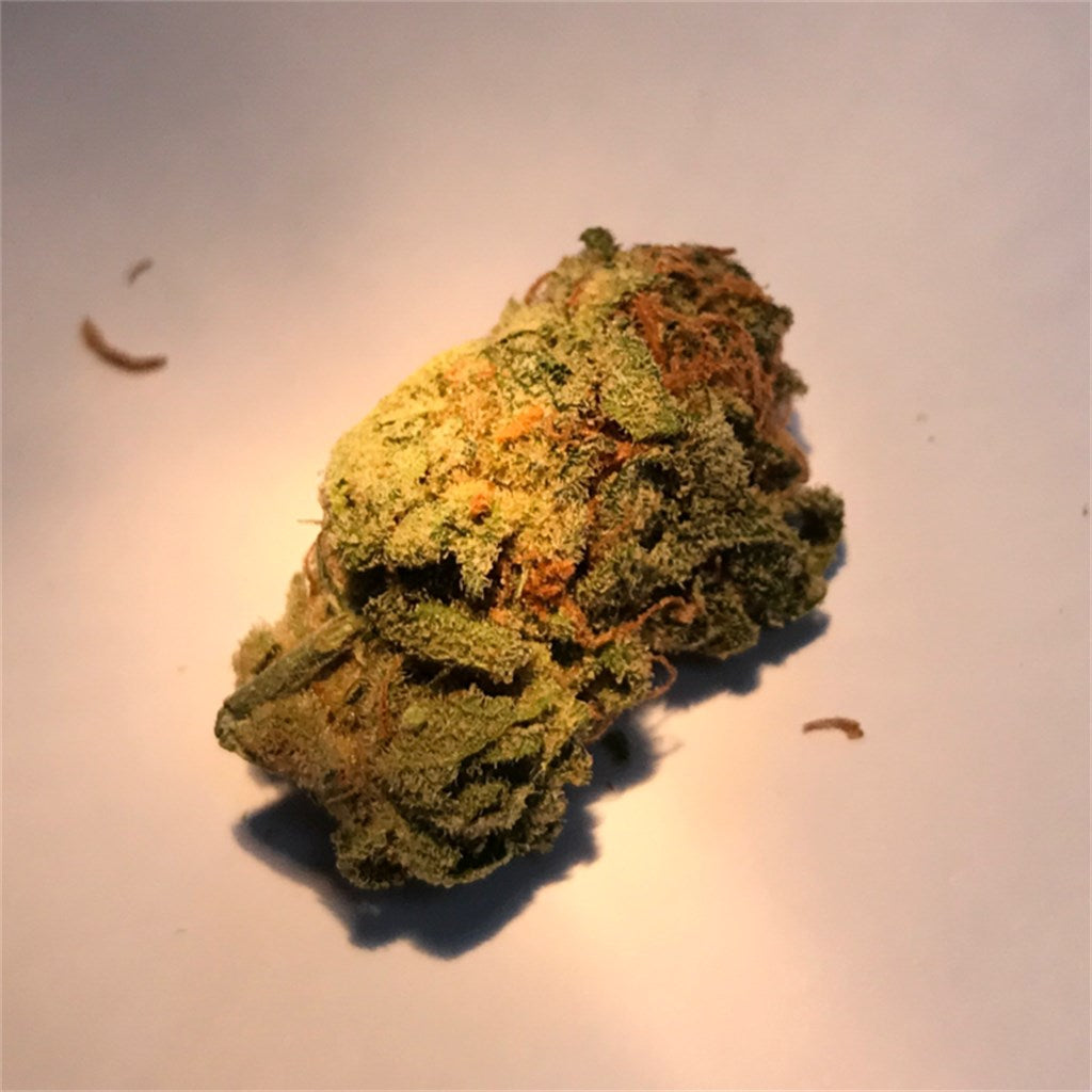 Blue Steel marijuana strain flower with plum and blueberry flavor and relaxed / sleepy effects - Rare Harvest indica