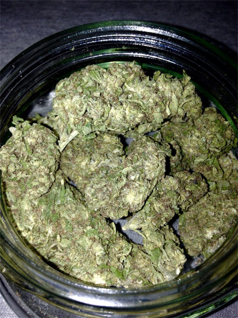 Blue Train marijuana strain flower with blueberry and sweet flavor and aroused / tingly effects - Rare Harvest hybrid